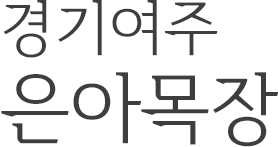 경기여주 은아목장